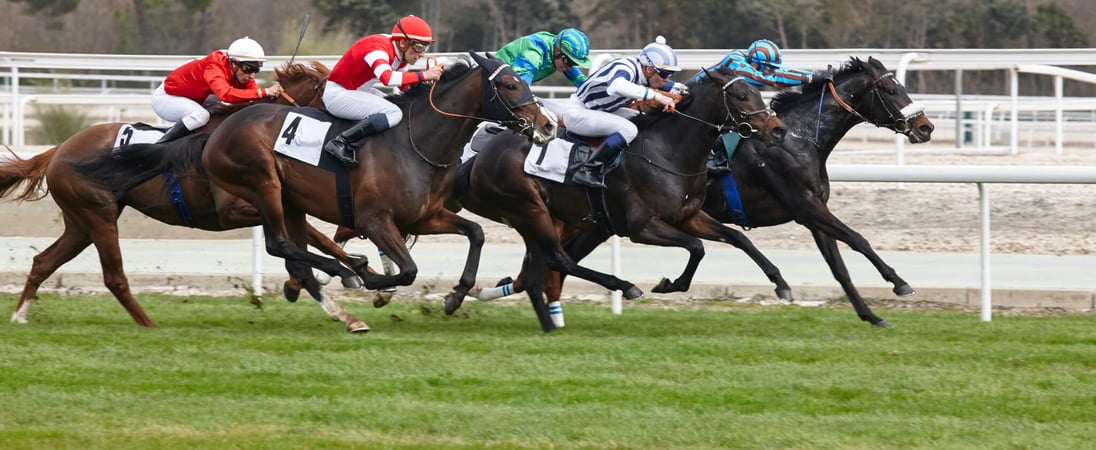 Preakness Stakes