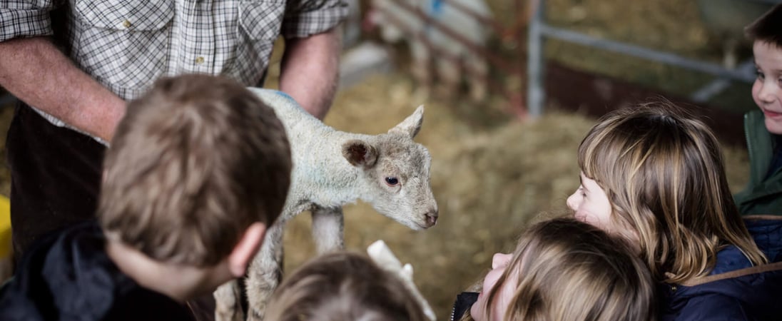 Royal National Agricultural Show Day Queensland