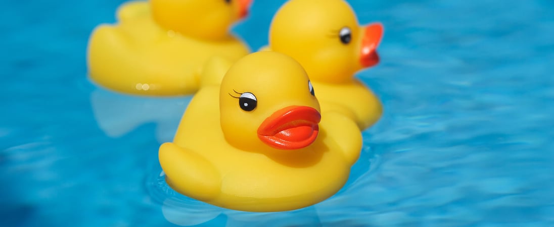 National Rubber Ducky Day