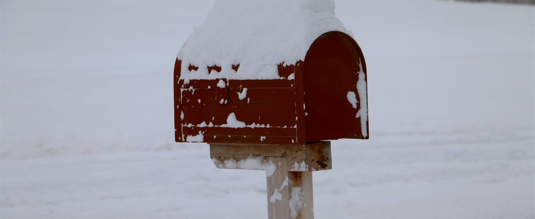 Snowplow Mailbox Hockey Day