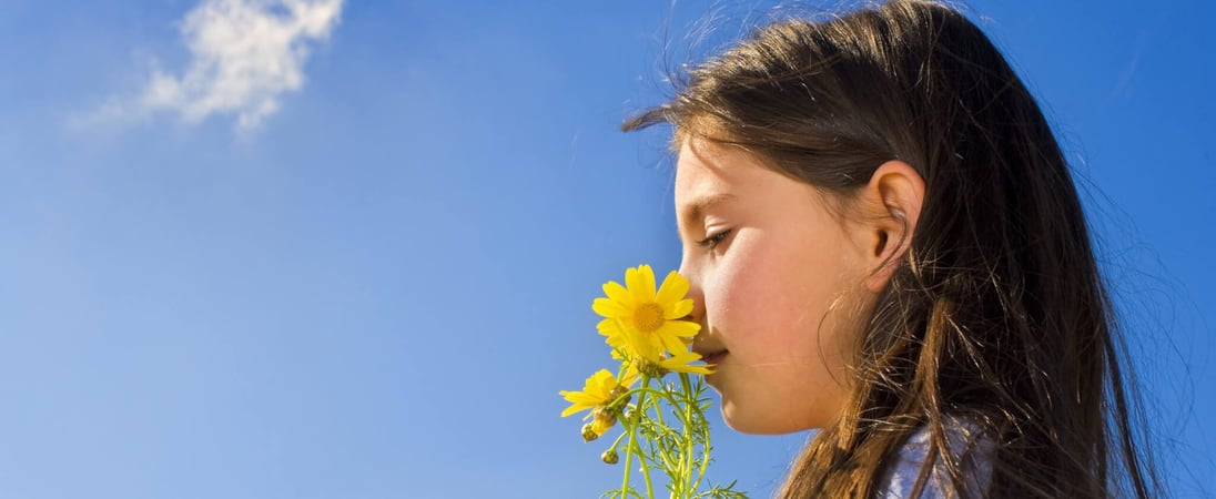 National Sense Of Smell Day