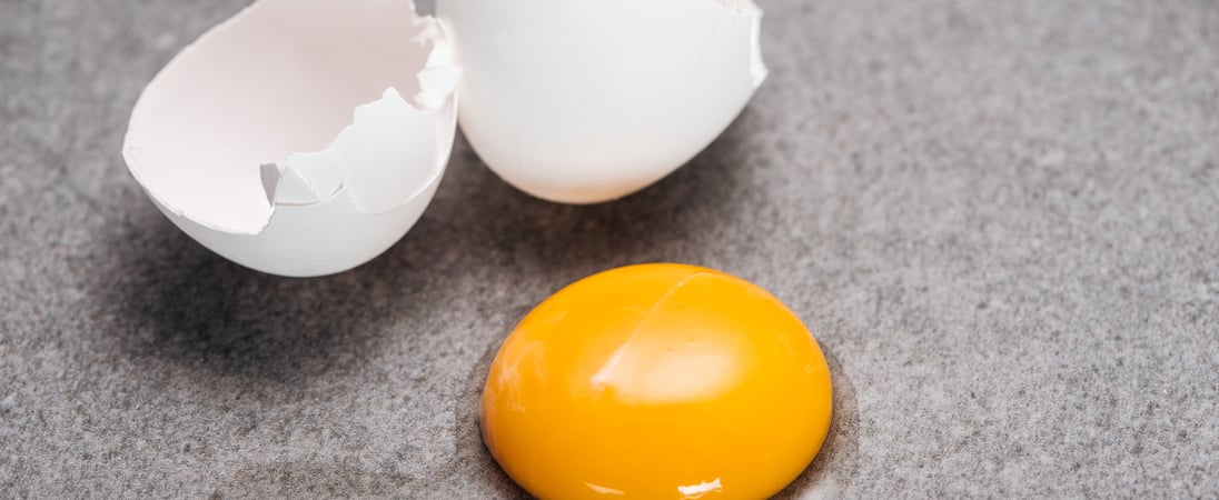 Sidewalk Egg Frying Day