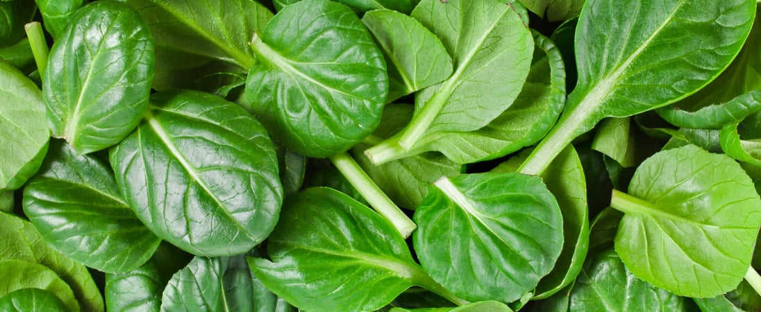 National Spinach Day