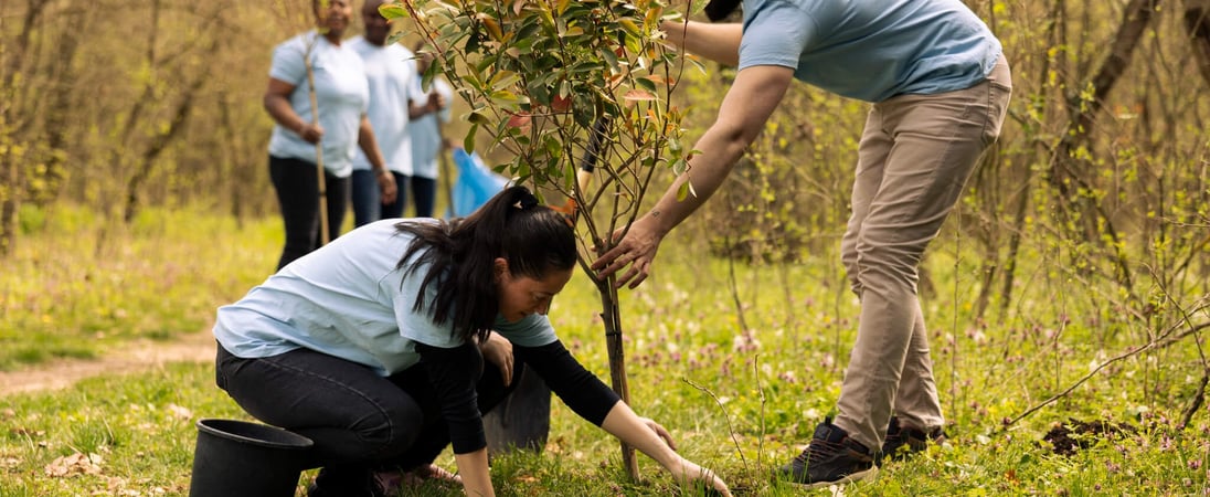 National Tree Week