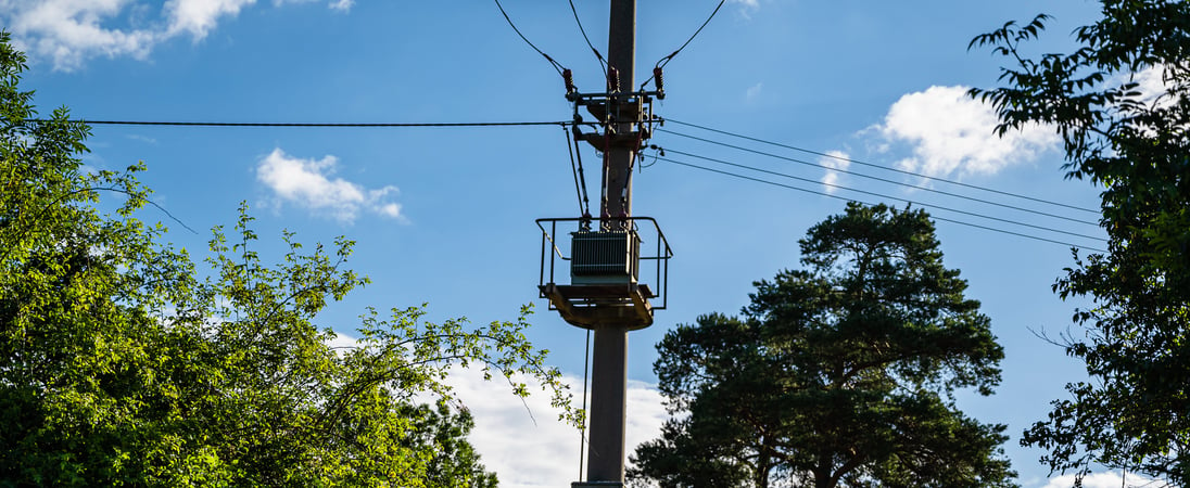 Telegraph Pole Appreciation Day