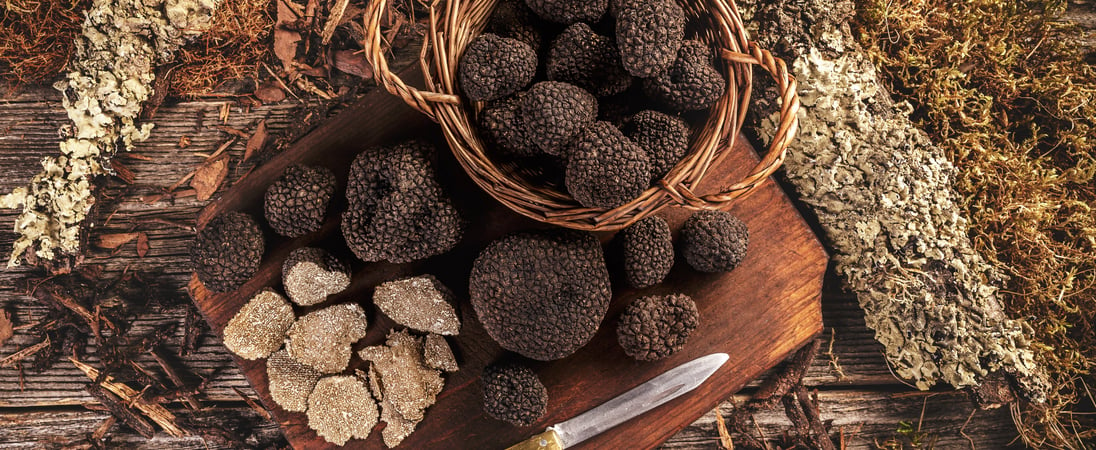 Truffle Days in Croatia