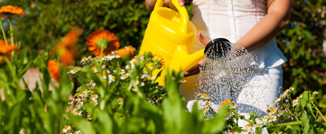 National Water a Flower Day