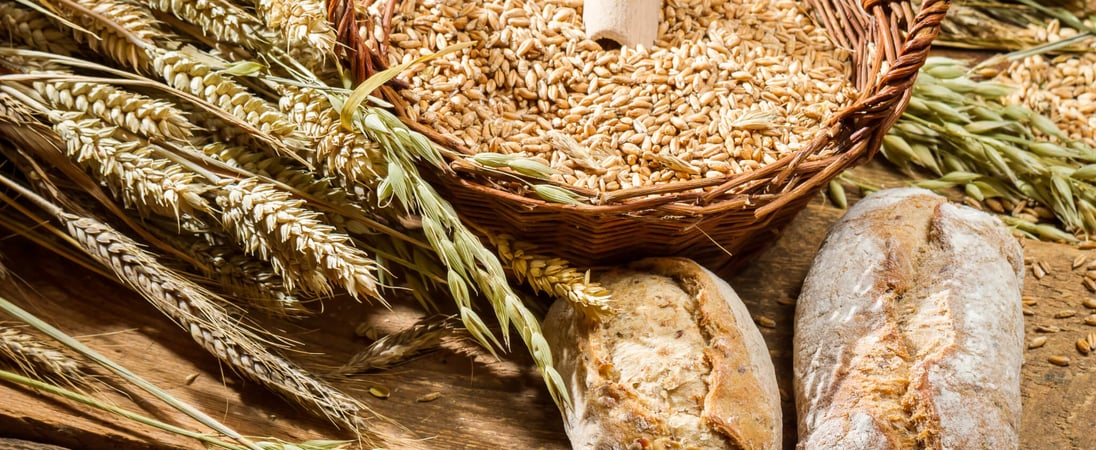 Whole Grains Month