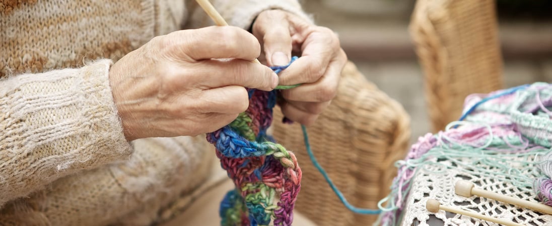 Worldwide Knit in Public Day