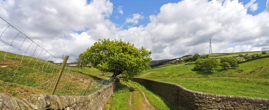 Yorkshire Day