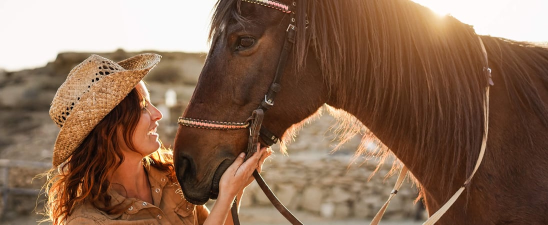 Horse Rescue Day