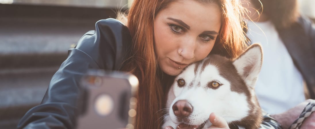 National Dog Photography Day