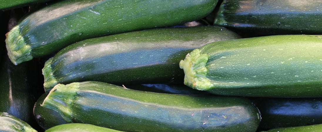 National Sneak Some Zucchini Onto Your Neighbors’ Porch Day