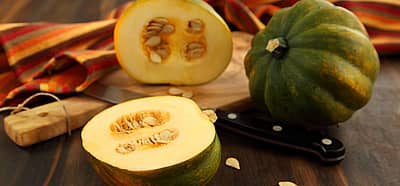 National Acorn Squash Day (September 7th) Days Of The Year