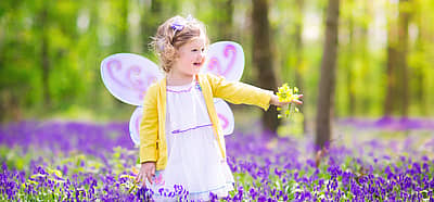 International Fairy Day (June 24th) Days Of The Year