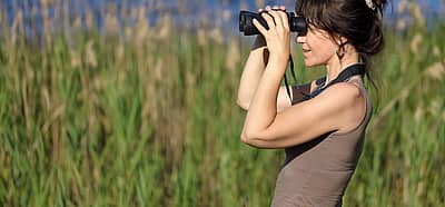 National Go Birding Day (April 27th, 2024) Days Of The Year