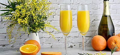 National Mimosa Day (May 16th) Days Of The Year