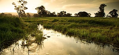 World Wetlands Day (February 2nd) | Days Of The Year