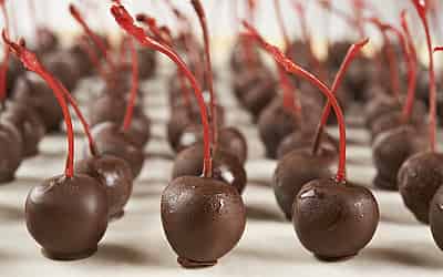 NATIONAL CHOCOLATE COVERED RAISIN DAY - March 24 - National Day