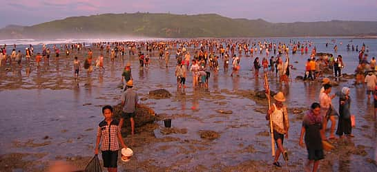 Bau Nyale Festival