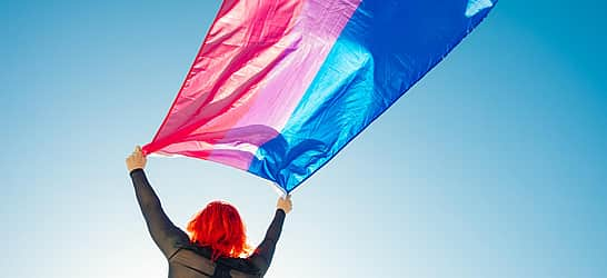 Celebrate Bisexuality Day