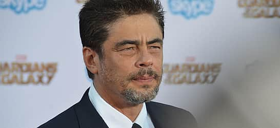 Benicio del Toro