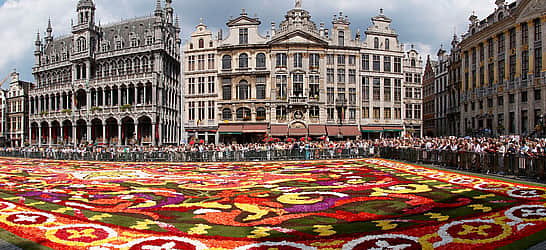 Brussels Flower Carpet