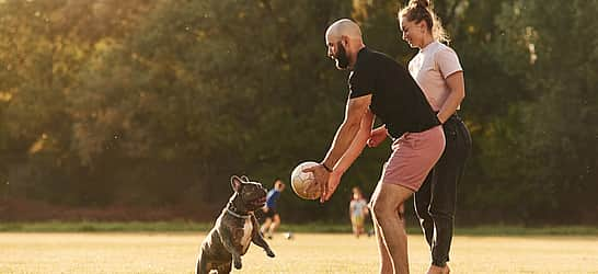 Canine Fitness Month