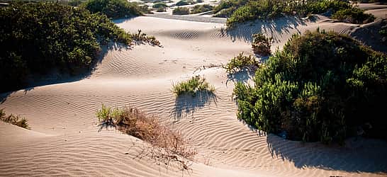World Sand Dune Day