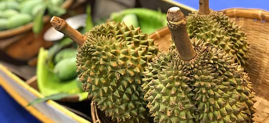 Durian Festival