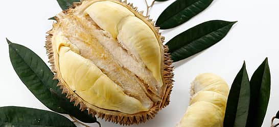 Durian Fruit Day