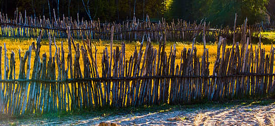 Grass is Always Browner on the Other Side of the Fence Day