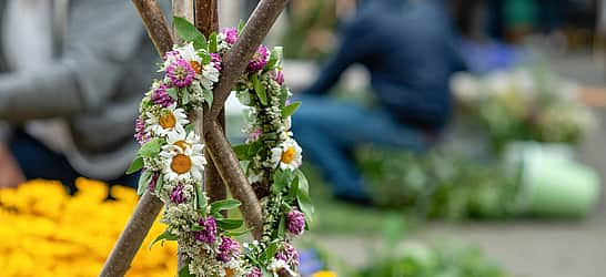 Haybuis Armenian Herb Festival