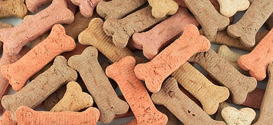 International Dog Biscuit Appreciation Day