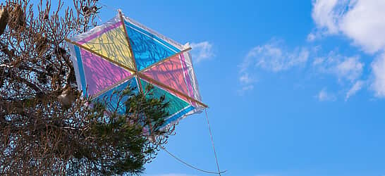 Makar Sankranti