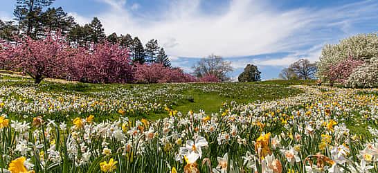 March Equinox