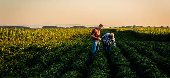 National Agriculture Day