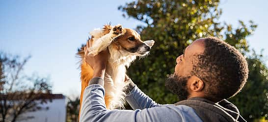 National AKC Responsible Dog Ownership Day