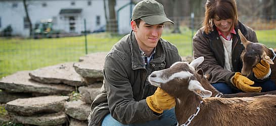 National Animal Safety and Protection Month