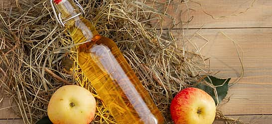 National Apple Cider Vinegar Day