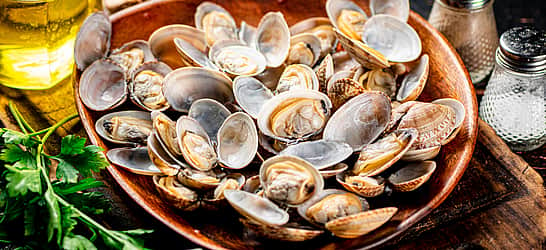 National Clams on the Half Shell Day