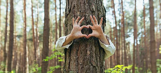National Love a Tree Day