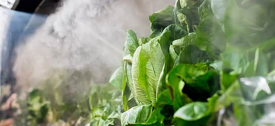 National Produce Misting Day