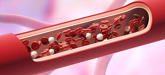 National Triglycerides Day