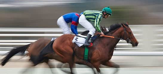 Palio Horse Race in Siena