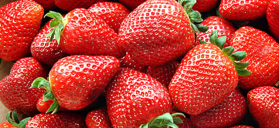 National Pick Strawberries Day
