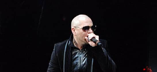 Pitbull