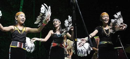 Rainforest World Music Festival