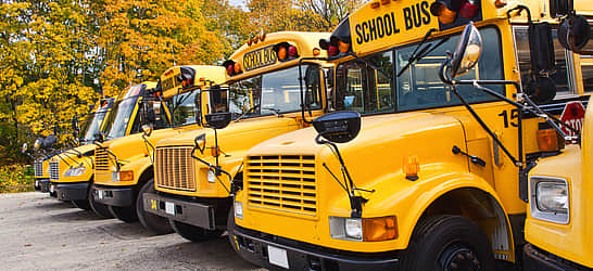 School Bus Drivers Day