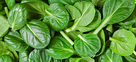 National Spinach Day